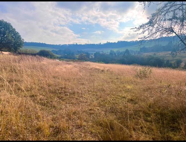 LAND FOR SALE IN BISHOPSTOWE